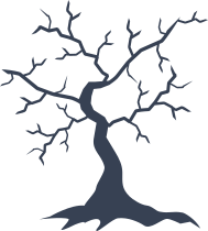 Thin Oak Tree Without Leaves Sticker