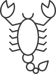 Thin Scorpion Sticker