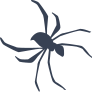 Thin Spider Sticker