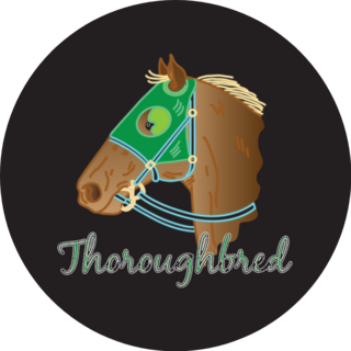 Thoroughbred Horse Kentucky Derby Sticker