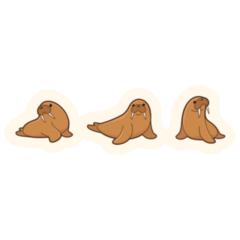 Three Cartoon Walruses Sketch Sticker