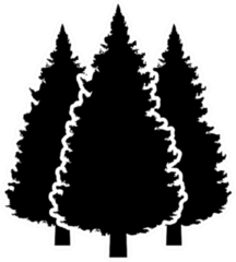 Three Conifer Pine Trees Black Sticker