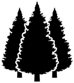 Three Conifer Pine Trees Black Sticker