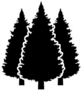 Three Conifer Pine Trees Black Sticker