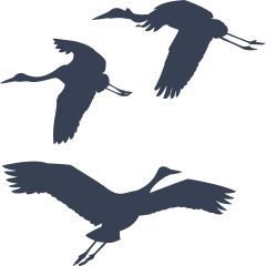 Three Cranes Flying Sticker