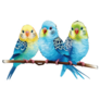 Three Cute Parakeets Sticker