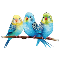 Three Cute Parakeets Sticker