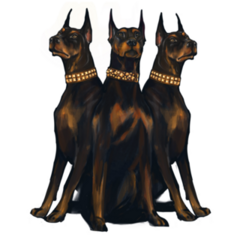 Three Dobermans Sticker