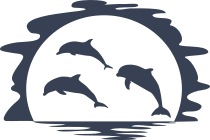 Three Dolphins Jumping At Sunset Sticker