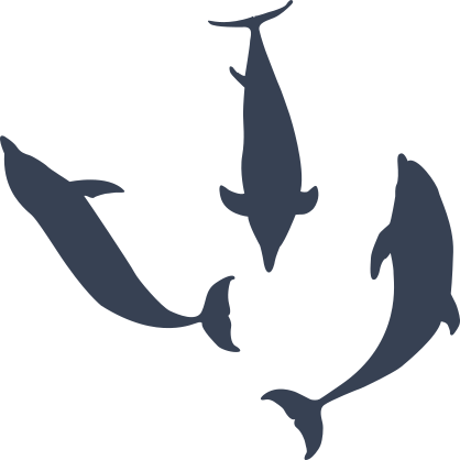 Three Dolphins Sticker