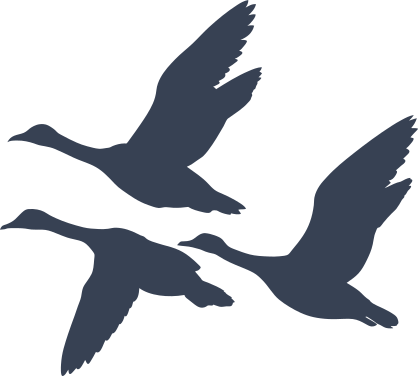 Three Ducks Flying Together Sticker