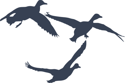 Three Flying Ducks Birds Sticker