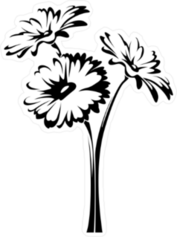Three Gerbera Flowers With Stems Sticker