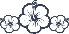 Three Hibiscus Flowers Border Sticker