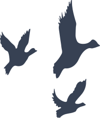 Three Lovely Ducks Sticker