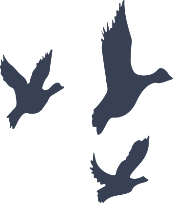 Three Lovely Ducks Sticker