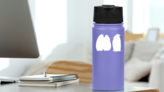 Three Penguins Sticker on a Water Bottle (New) example