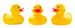 Three Rubber Ducks In A Row Sticker