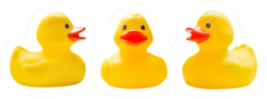 Three Rubber Ducks In A Row Sticker
