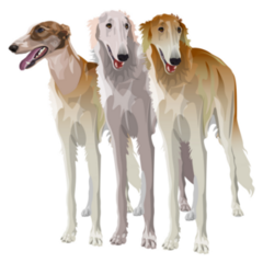 Three Sighthound Dogs Sticker