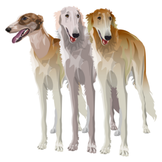 Three Sighthound Dogs Sticker