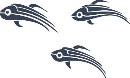 Three Tribal Fish Sticker
