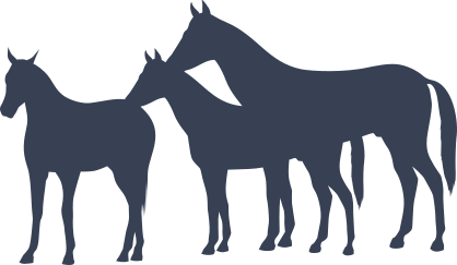 Three Young Horses Sticker