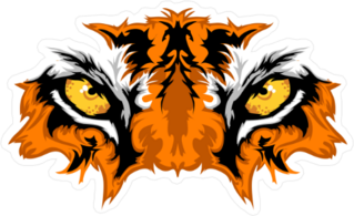 Tiger Eyes Sticker