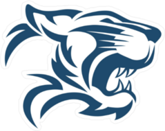 Tiger Head Abstract Sticker