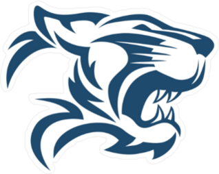 Tiger Head Abstract Sticker