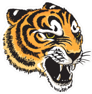 Tiger Head Illustration Sticker