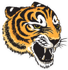 Tiger Head Illustration Sticker