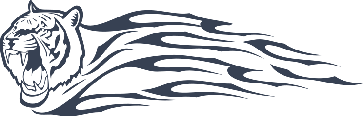 Tiger Head With Flames Sticker