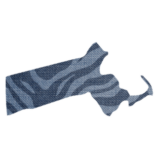 Tiger Skin State Map Massachusetts Sticker