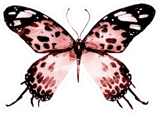 Tiger Snowtail Black & Red Butterfly Sticker