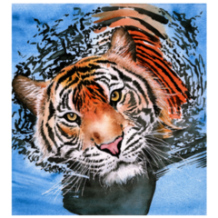 Tiger Swimming Sticker