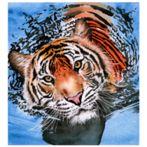 Tiger Swimming Sticker