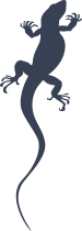 Timid Lizard Gecko Sticker
