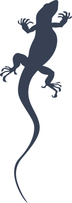 Timid Lizard Gecko Sticker