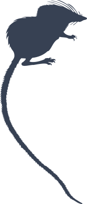 Tiny Fuzzy Mouse Sticker