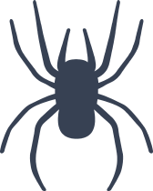 Tiny Spider Sticker