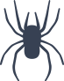 Tiny Spider Sticker