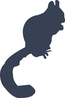 Tiny Squirrel Sticker