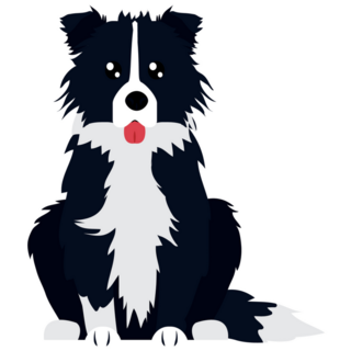 Tongue Out Collie Sticker