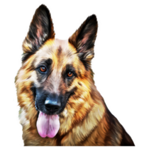 Tongue Out German Shepherd Sticker