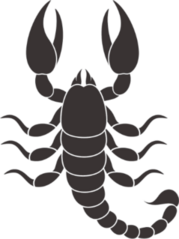 Top View Scorpion Sticker