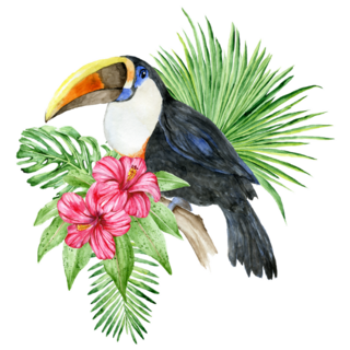 Toucan Bird And Hibiscus Flowers Sticker