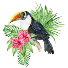 Toucan Bird And Hibiscus Flowers Sticker