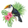 Toucan Bird And Hibiscus Flowers Sticker