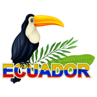 Toucan Bird Ecuador Sticker